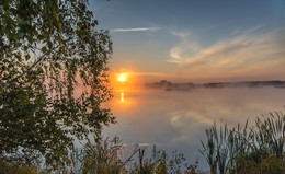 Foggy morning / ))))))))))