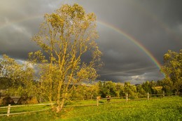 After the rain / ***