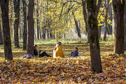 In autumn park / ***