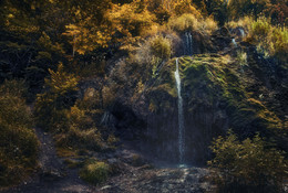 &nbsp; / https://imgur.com/a/fjHPvDP