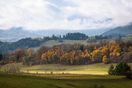 Misty Autumn / Misty day in tatri