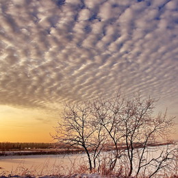 Winter evening. / ***