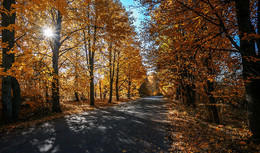 Autumn / ***