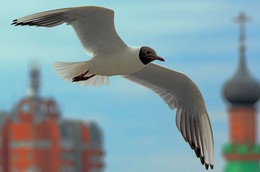 &nbsp; / &quot; &quot; &quot;