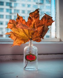 Autumn Bouquet / ***