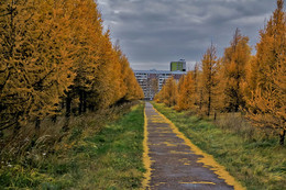 Autumn colors of nature. / ***