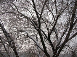 Winter schedule / ***