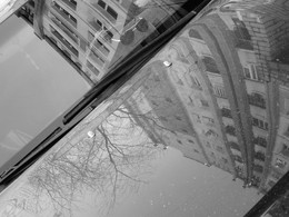 Parallel World / ***