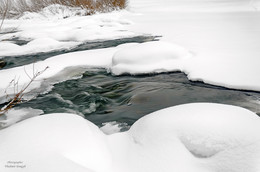 Polynya ... / ***