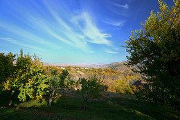 Valley / ***