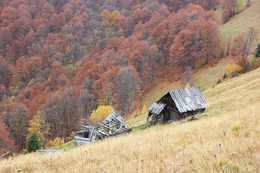 Autumn in the Carpathians / ***