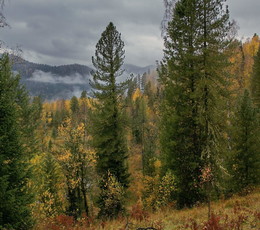 Autumn in the mountains. / ***