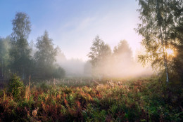 Foggy morning in September / ***