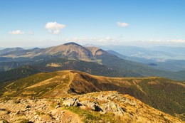 Carpathians / ***