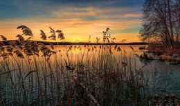 Dawn on the lake / ***