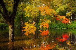 Autumn Watercolor / ***