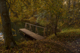 By the pond ... / ***