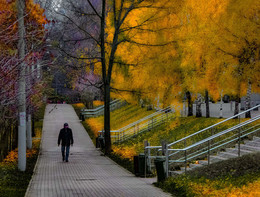 Walk in the park. / ***