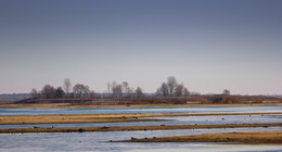 Before sunrise / ***