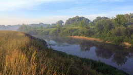 Morning on the river / ***
