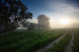Misty road / ***
