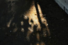 Roundelay / ...