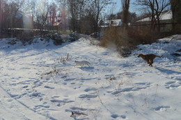 &nbsp; / [img]https://pp.userapi.com/c851332/v851332328/4fa0a/FFqAyXG_MPM.jpg[/img]

[img]https://pp.userapi.com/c851332/v851332328/4fa01/X0xEeCrvvXM.jpg[/img]