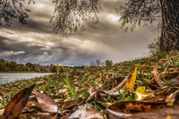 Before the storm / ***