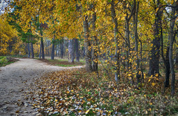 Autumn / ***