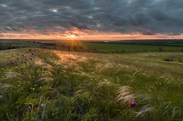 Evening of May / ***