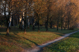Autumn landscape. / ***