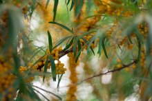 Autumn tropics / ***
