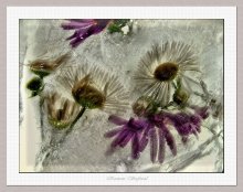 Even cold pleasant and fresh .... / ***