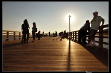 Lantern / Coney Island