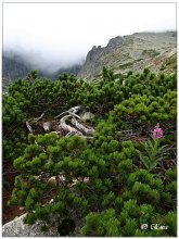 The beauty of the Tatra mountains. / ***