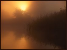 Morning on Lake Snegyany / ***