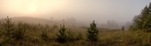 Foggy landscape / ***********