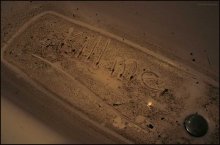 bath / ------