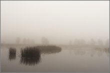 about the cold mist on the lake / ***