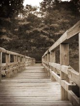Simple bridge / ***