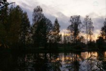 October, in nature. / ***