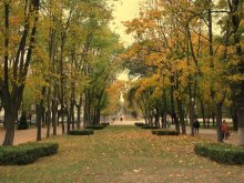 Autumn / ***