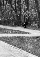 Autumn / ***