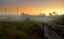 morning in the village / .....