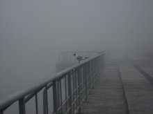 Fog, mist ... / ...