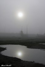 Fog / made in Shabany