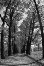 Autumn one day ... / ***