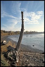 Somewhere near the lake there is a bare trunk of a tree, but remember, before we vstrechals in the shade of its branches? .. / ***