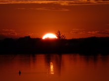 Sunset / ***
