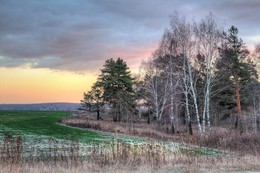 Pink Evening / ***